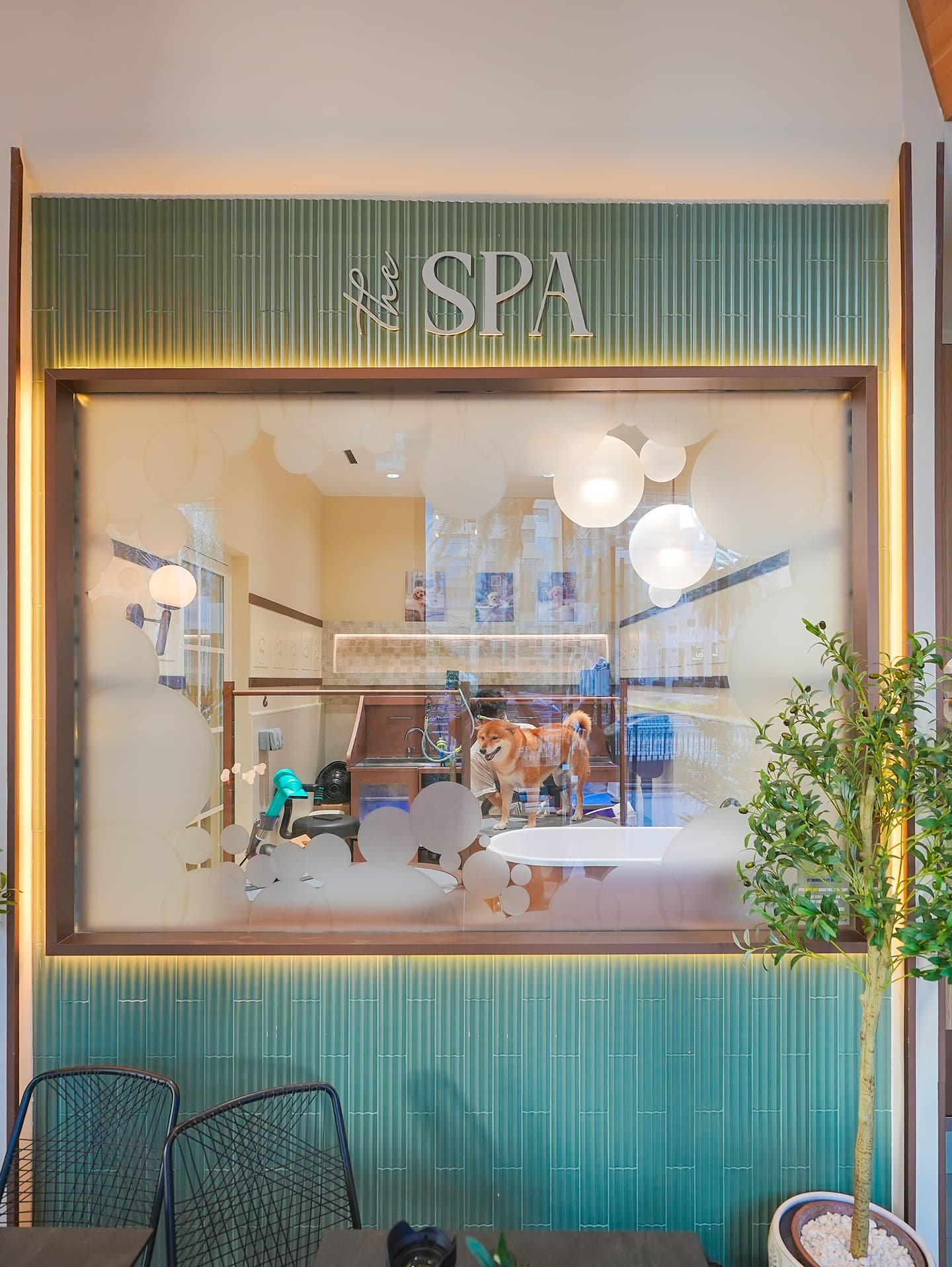 Pet spa entrance with teal paneling, glass window, and small trees flanking the doorway.