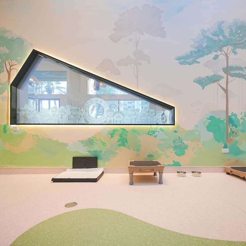 Modern pet spa interior with a mural wall and grooming station.