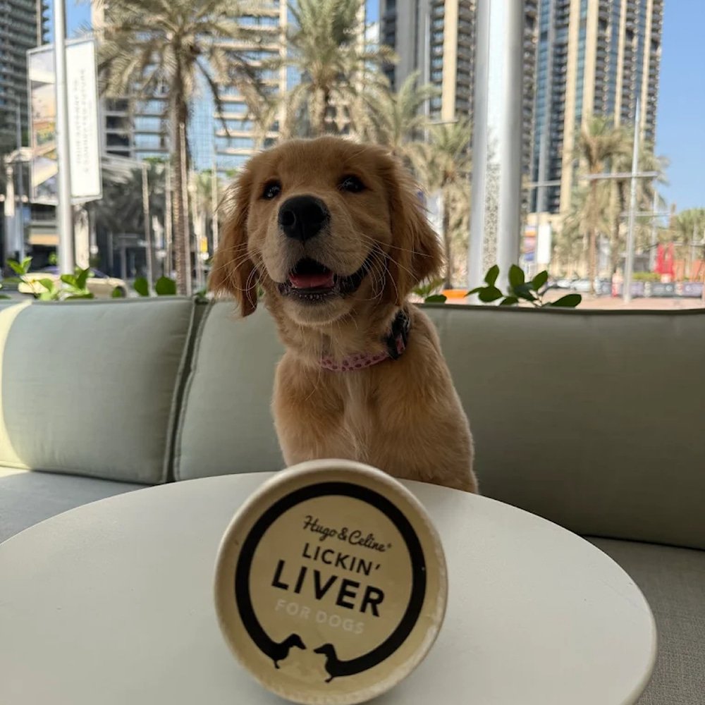 Golden Retriever puppy with Hugo & Celine dog treats at Pawdy Neighbors Boulevard.