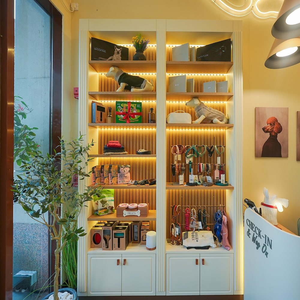 Illuminated display cabinet filled with pet products and accessories beside a potted plant.