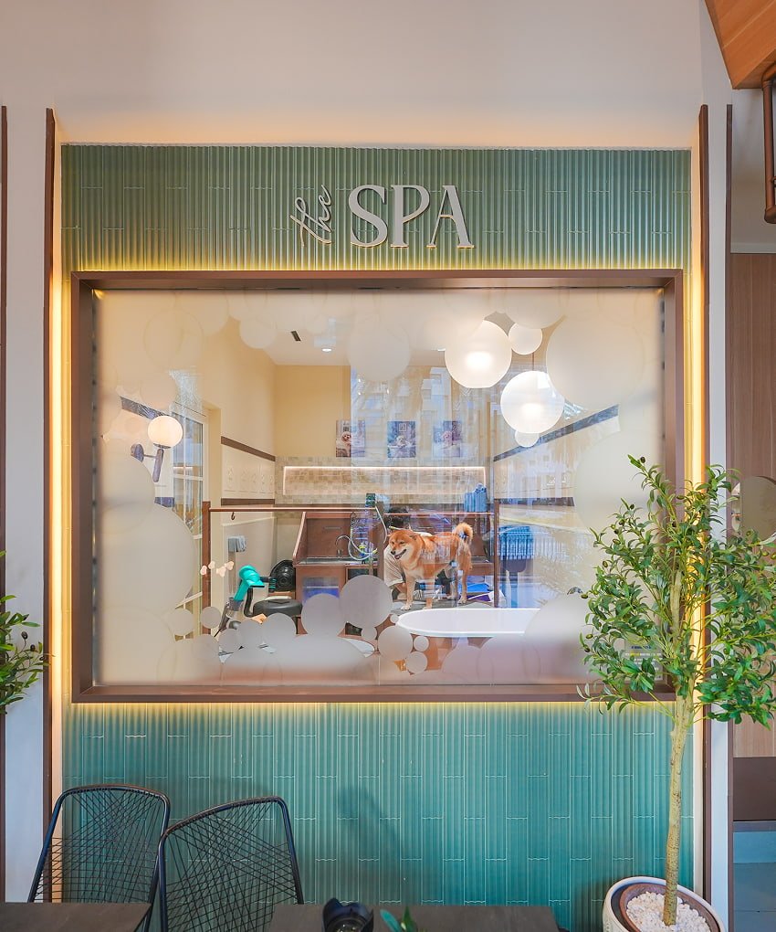Spa reception interior with teal paneling and warm lighting.