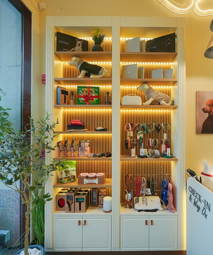Illuminated display cabinet filled with pet products and accessories beside a potted plant.